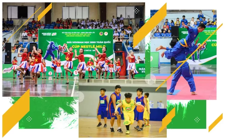 Hệ sinh thái giải đấu và các hoạt động thể chất thực tế tại trường học
